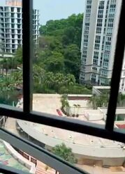 The Tropica (D18), Condominium #581748091
